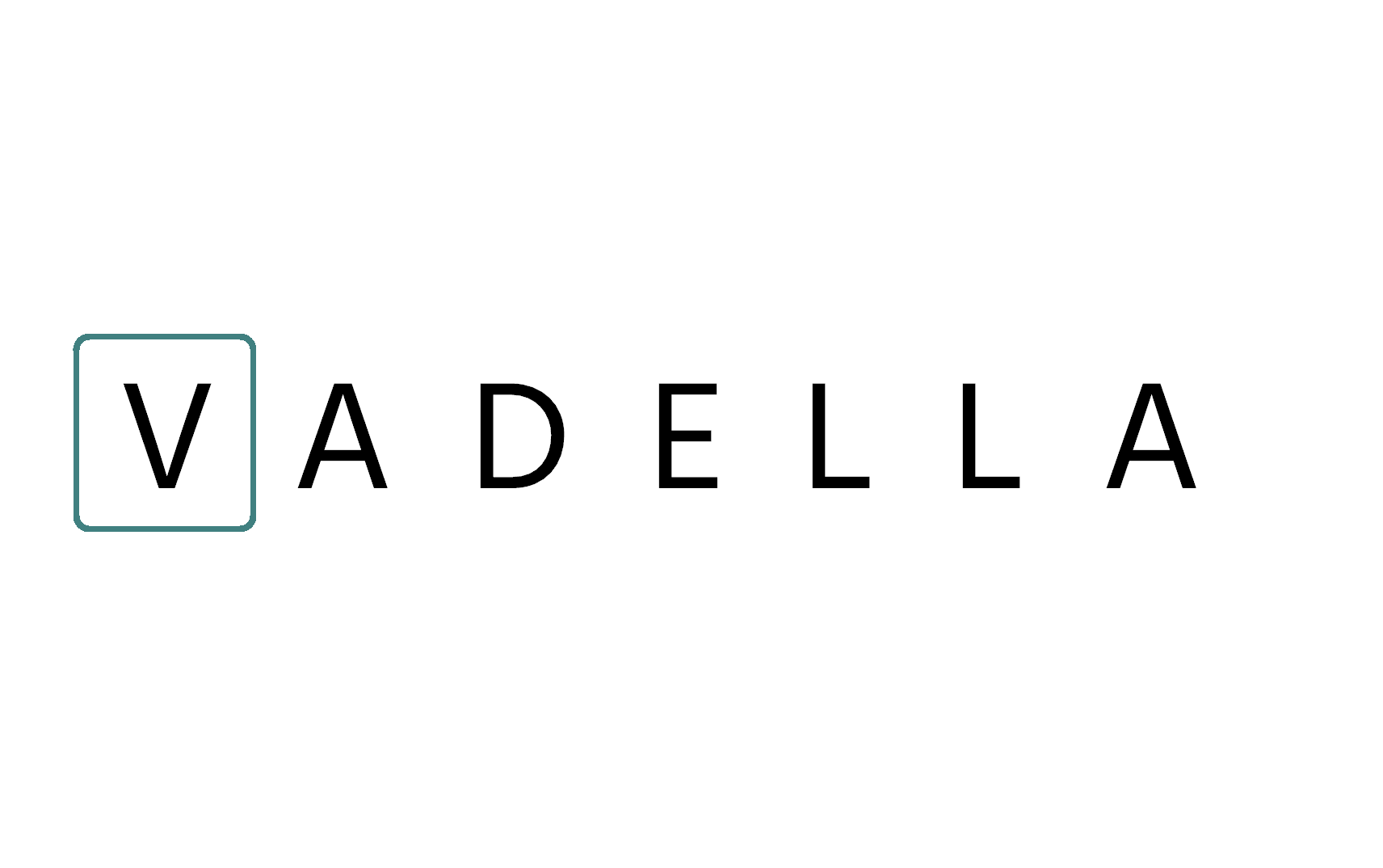 Vadella LLC company logo - Software development and management systems
